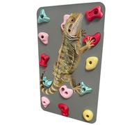 3D Reptile Climbing Wall, Natural Textured Habitat Decor for Bearded Dragons, Leopard Geckos, Lizards, Snakes, Frogs & Amphibians - Terrarium & Paludarium Tank Accessories