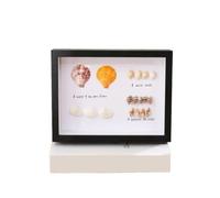3D Shadow Box Wood Shadow Box Frame Deep 3d Photo Depth 3cm Specimens Holder for Dried Flower Picture Shell DIY Home Decor(Black,A4 (21x29.7cm))