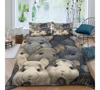 3D Soft Microfibre Chinchilla faces Quilt Cover Easy Care Bedding Sets with Pillowcases Cartoon animal illust Duvet Cover All Season Breathable Machine Washable for Men Women Kids Single（135x200cm）