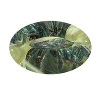 3D Spider Green Pet Dog Bed Anxiety Relief Dog Cave Bed for Small Size Pets Sleeping XS