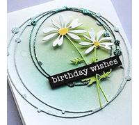 3D Spotty Circle Frame Cutting Dies for Card Making，Cutting Dies Cut Stencils for DIY Scrapbooking Photo Album Decorative Embossing Paper Dies for Card Making Templated+Cute Brooch Pin