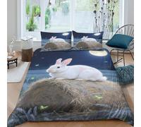 3D Super Soft Microfiber Night rabbit scene Comforter Cover All Season Bedding Set with Pillow Shams Fantasy art illust Quilt Cover Set Easy Care Machine Washable for Bedroom Decor King（220x240cm）
