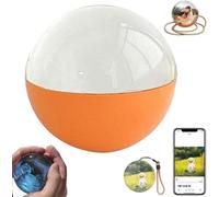 3D Ultrasound Crystal Ball Digital Photo Album - Crystal Ball Digital Video Display, 3D Ultrasound Memory Orb, Personalized LED Sphere for Pets, Couples & Keepsake