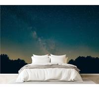 3D Wall Mural 365x254cm Silk Wallpaper Milky Way Isle Wight Photo Picture Wall Covering Murals Home Decorations for Bedrooms Living Room Posters (Non-Self-Adhesive)