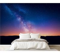 3D Wall Mural 365x254cm Silk Wallpaper Night Landscape Colorful Milky Way Photo Picture Wall Covering Murals Home Decorations for Bedrooms Living Room Posters (Non-Self-Adhesive)