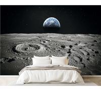 3D Wall Mural 365x254cm Silk Wallpaper View Moon Limb Earth Rising Horizon Photo Picture Wall Covering Murals Home Decorations for Bedrooms Living Room Posters (Non-Self-Adhesive)