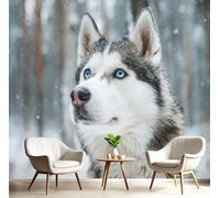 3D Wall Mural Blue Eyes Husky Print Photo Wallpaper, Luxury Grey Non-Woven Wall Mural Decoration Poster Cute Animals Picture, 200×150cm Murals for Living Room Kids Bedroom
