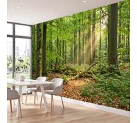 3D Wall Mural Jungle Nature Print Trees Fallen Leaves Ferns Moss Photo Wallpaper, Non-Woven Mural Decoration Poster Picture 250 x 175 cm Wallpaper for Living Room Kids Bedroom