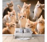 3D Wall murals Cute Kitten, 3D Gothic Wallpaper Animal Farm 300x210cm DIY Creative Background Restyling Accent Headboard Mural Quick Installation Bedroom Living Room Cover