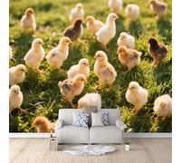 3D Wall Paper for Living Room Cute Chicks, Mural 3D Modern Animal Farm 150x105cm Quick DIY Creative Poster Modern Photomurals Giant Backdrop Bedroom Living Room Kids Room