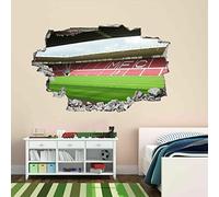 3D Wall Stickers - Middlesbrough Stadium Football - Art Wall Decorative Removable DIY Vinyl Wall Decals Living Room, Bedroom Mural 60x90cm