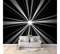 3D Wallpaper Black and White Lines 300x256cm,Modern Art Wall Murals Photo Wall Mural Abstract Geometry,for Living Room Bedroom Children's Room Home Decoration, Easy to Install
