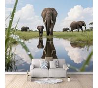 3D Wallpaper Elephant Herd 500x280cm,Modern Art Wall Murals Photo Wall Mural Prairie River,for Living Room Bedroom Children's Room Home Decoration, Easy to Install