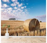 3D Wallpaper Golden Wheat Field Hay Bales Blue Sky Rural Landscape Art | Silk Texture Suitable for the Home Study Office Schemes Dining Rooms Sofas Bedrooms Living Rooms TV Feature Walls-430cm×300cm