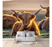 3D Wallpaper Highland Cows 300x256cm,Modern Art Wall Murals Photo Wall Mural Animal Grassland,for Living Room Bedroom Children's Room Home Decoration, Easy to Install