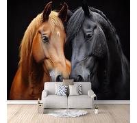 3D Wallpaper Horse Black Mural Wall Horses Animals Photo Wallpaper 400x280 cm Non-Woven Fabric Easy to Install Wall Paper for Living Room Kitchen Children's Room Bedroom Accessories Interior Poster