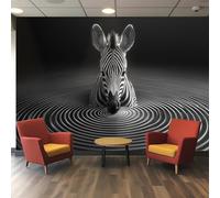 3D Wallpaper, Zebra Optical Illusion with High Contrast Black & White Stripes Creating Movement, Modern for Living Room Bedroom Feature Wall