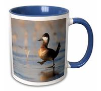 3dRose California, Ruddy Duck, Male, Walking on ice - US05 GLU0007 - Gary Luhm 11oz Two-Tone Blue Mug