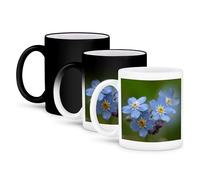 3dRose Forget-Me-Not A Macro Photograph of Delicate Blue Flowers for Remembrance 11oz Magic Transforming Mug