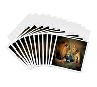 3dRose gc_17303_2 6 x 6-Inch "Lions Father and Son" Greeting Card (Pack of 12)