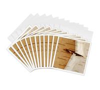 3dRose gc_251376_2 6 x 6-Inch "Oregon, Keizer, Peeling Bark on a Paper Birch" Greeting Card (Set of 12)
