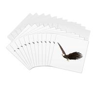 3dRose gc_253966_2 6 x 6-Inch "Bald Eagle Flying with Wings on The Upstroke" Greeting Card (Set of 12)
