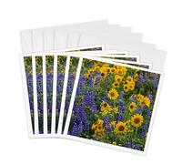 3dRose gc_279647_1 6 x 6-Inch "Springtime Bloom with Mass Fields of Wildflowers, Washington" Greeting Card (Pack of 6)