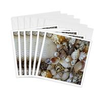 3dRose gc_7337_1 6 x 6-Inch "Shells of Sanibel" Greeting Card (Pack of 6)
