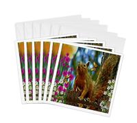 3dRose gc_9105_1 6 x 6-Inch "Miss Squirrel" Greeting Card (Pack of 6)