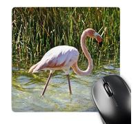 3dRose mp_10123_1 8 x 8-Inch Caribbean Pink Flamingo,Phoenicopterus Rubber,Punta Moreno Isabela Island Galapagos Mouse Pad