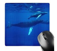 3dRose mp_10692_1 8 x 8-Inch North Atlantic Humpback Whales Migrate South to The Silver Banks to Breed and Have Their Calves Mouse Pad