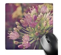 3dRose mp_11244_1 8 x 8-Inch Pretty Little Flower by Angelandspot Mouse Pad