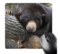 3dRose mp_11586_1 8 x 8-Inch Oh Man, What a Day, Black Bear Mouse Pad