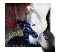 3dRose mp_1263_1 8 x 8-Inch Andalusian Mare and Foal Mouse Pad