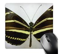 3dRose mp_13976_1 8 x 8-Inch State Butterfly Pretty Mouse Pad