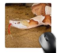 3dRose mp_140177_1 8 x 8-Inch Southern Copperhead Snake, Southeastern Us - Na02 Dno0893 - David Northcott Mouse Pad