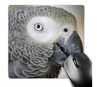 3dRose mp_140254_1 8 x 8-Inch African Grey Parrot Tropical Bird - Na02 Mfr0001 - Mfr Mouse Pad