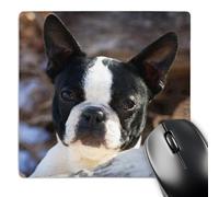 3dRose mp_140275_1 8 x 8-Inch Purebred Boston Terrier Dog - Na02 Pwo0017 - Piperanne Worcester Mouse Pad