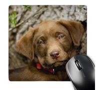 3dRose mp_140330_1 8 x 8-Inch Purebred Chocolate Labrador Puppy Dog - Na02 Pwo0087 - Piperanne Worcester Mouse Pad