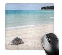 3dRose mp_143937_1 8 x 8-Inch Hawaiian Green Turtle Resting on Beach - Us12 Dgi0038 - Daisy Gilardini Mouse Pad