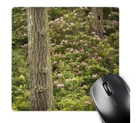 3dRose mp_146410_1 8" x 8" Pacific Rhododendron Flowers Florence Oregon USA Us38 Wsu0210 William Sutton Mouse Pad