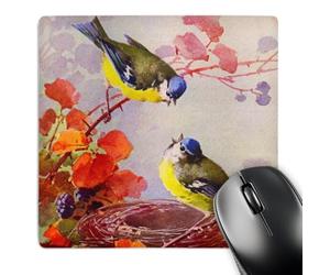 3dRose mp_151404_1 8" x 8" Catherine Klein Blue Tit or Chickadee Birds Nest Vintage Painting Copy Sweet Little Bird Art Mouse Pad