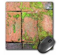 3dRose mp_159790_1 8" x 8" Old Red Bricks Walkway with Some Green Moss Walk Background Texture Old Pattern Stone Garden Mouse Pad