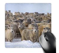 3dRose mp_187815_1 8" x 8" Mustering Sheep in Deep Snow. Maniototo Central Otago New Zealand Mouse Pad