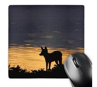 3dRose mp_187924_1 8" x 8" Black-Backed Jackal Okaukuejo Waterhole Etosha Np Namibia Africa. Mouse Pad