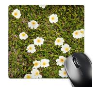 3dRose mp_189206_1 8" x 8" Norway Svalbard Spitsbergen. Mountain Avens Blooming. Mouse Pad