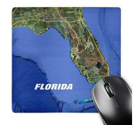 3dRose mp_205074_1 8" x 8" Print of Snow Bird Routes to Florida on State Map Mouse Pad