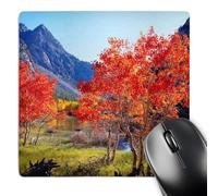 3dRose mp_206118_1 8" x 8" USA California Sierra Nevada. Aspen Trees in Autumn in The Sierras. Mouse Pad