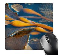 3dRose mp_206366_1 8" x 8" Kelp at Haida Gwaii British Columbia Canada. Mouse Pad