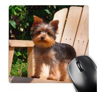 3dRose mp_206393_1 8" x 8" Yorkshire Terrier Standing on Wooden Chair Mouse Pad